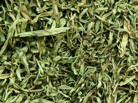 Tarragon - KFP